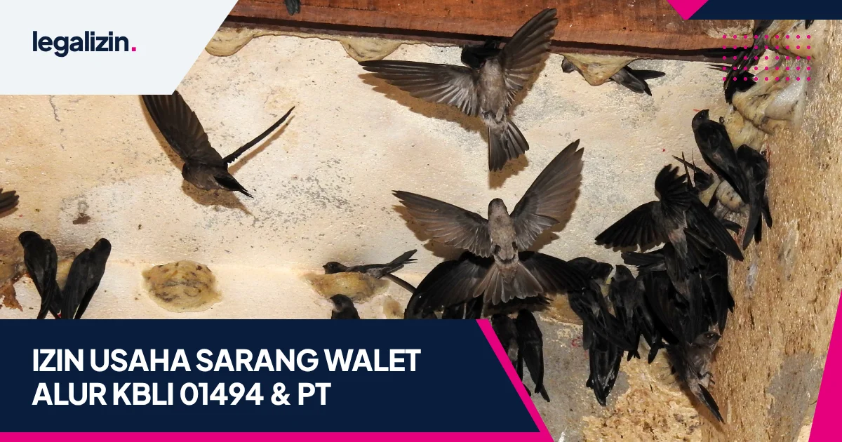 Panduan Syarat Izin Usaha Sarang Burung Walet 2026: Alur KBLI 01494, Sertifikat Higiene Karantina, dan Legalitas PT
