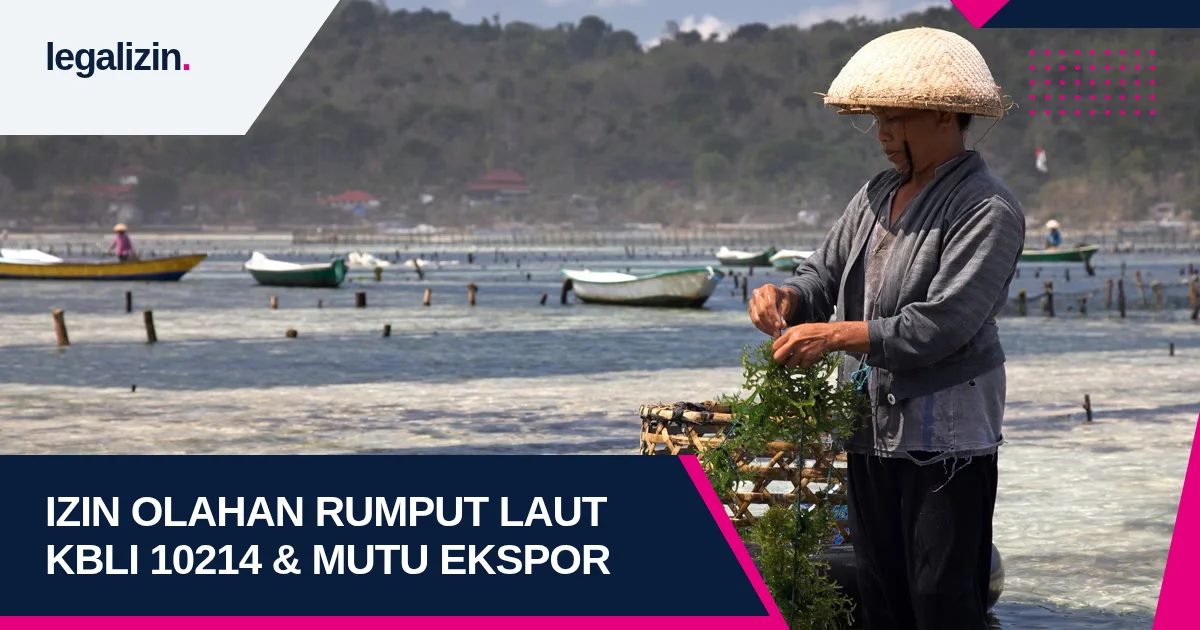 Panduan Syarat Izin Pengolahan Rumput Laut Karagenan 2026: KBLI 10214, Standar Mutu Ekspor, dan Pendirian PT